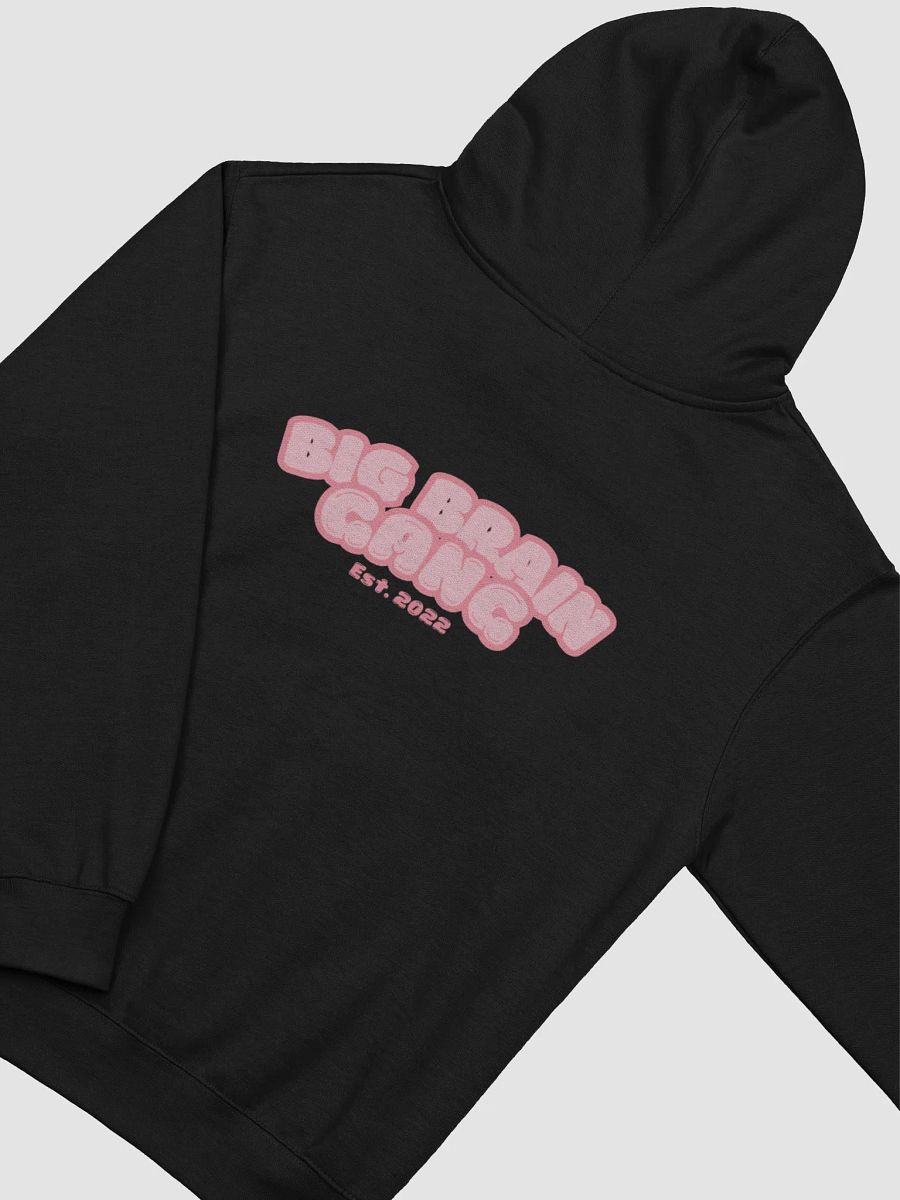 Brian Howdy / Big Brain Gang Hoodie product image (35)