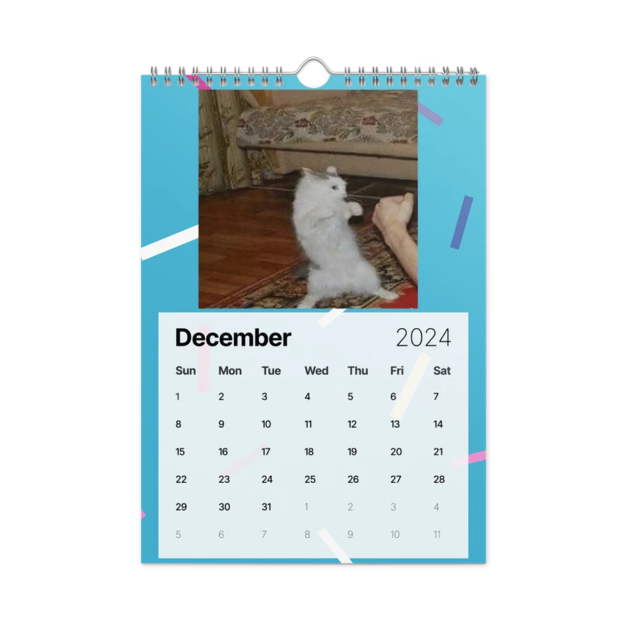 Wall Calendar (2024): Meme Cats product image (6)