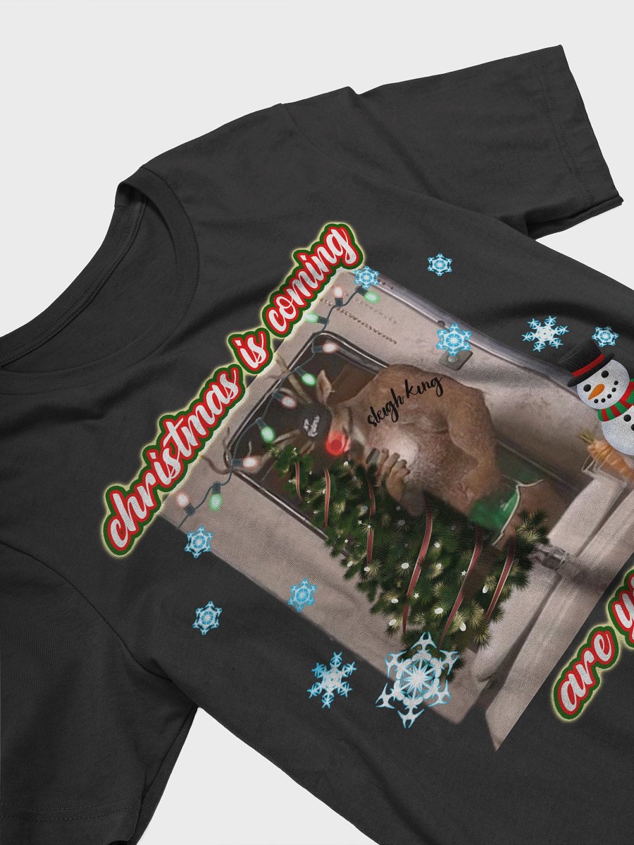 Christmas is Coming T-shirt product image (20)