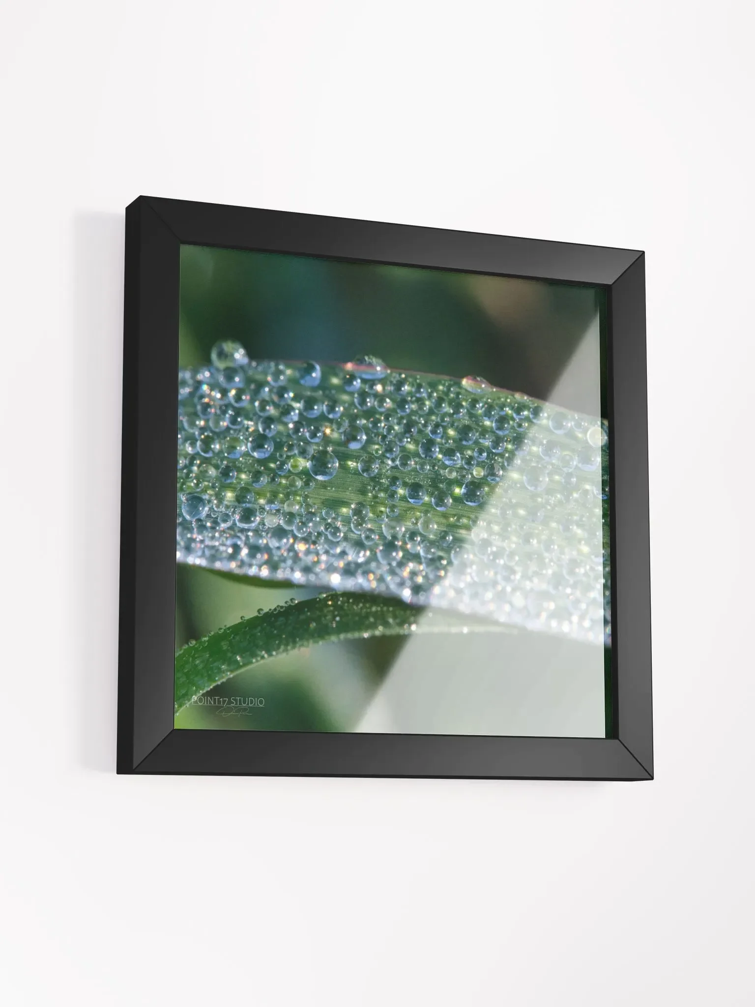 Dew Gems #1 - Framed Print product image (3)