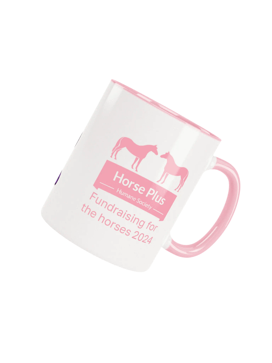 Limited edition mug HPHS product image (4)