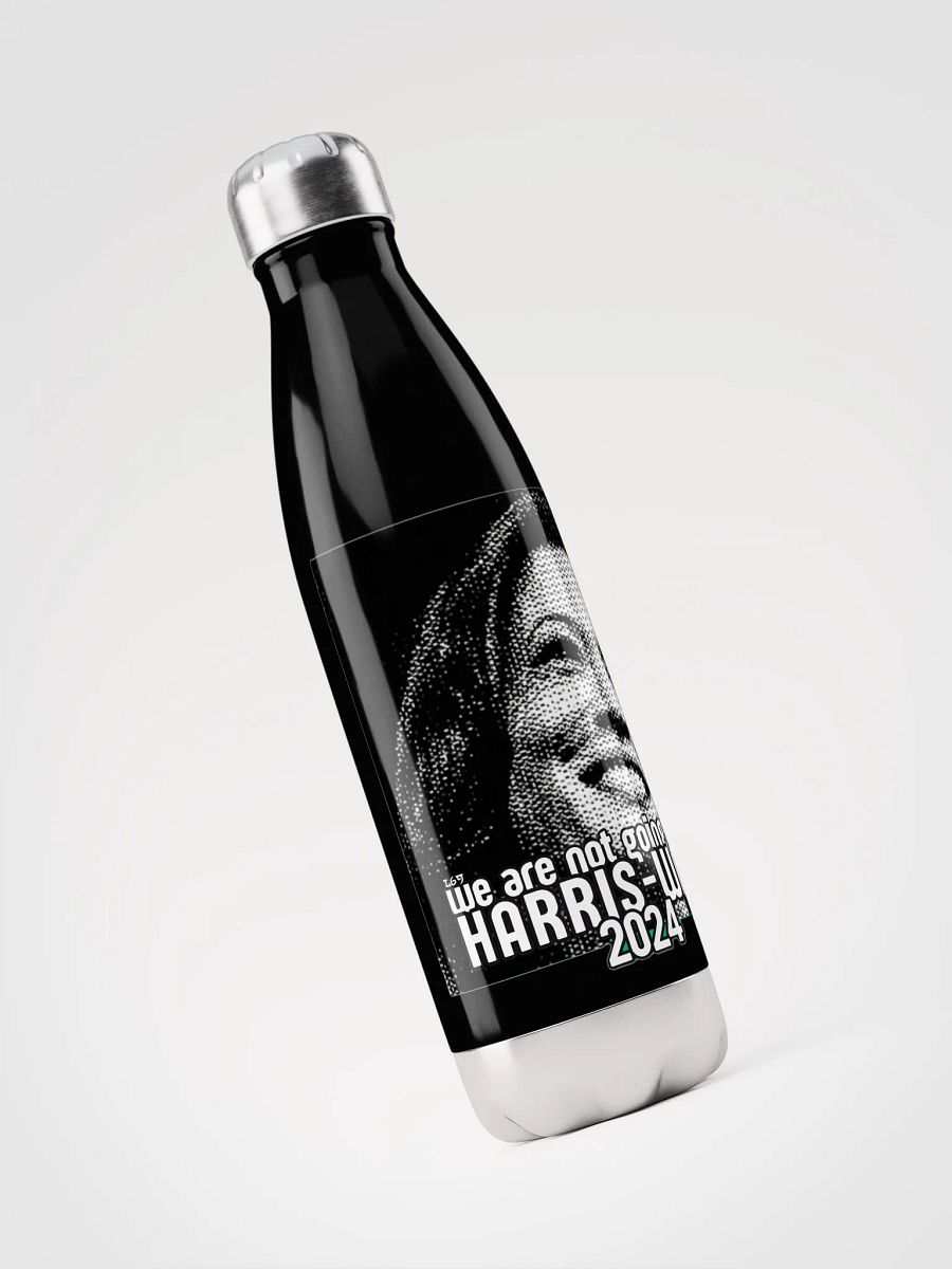 HARRIS-WALZ 2024 WE ARE NOT GOING BACK product image (6)