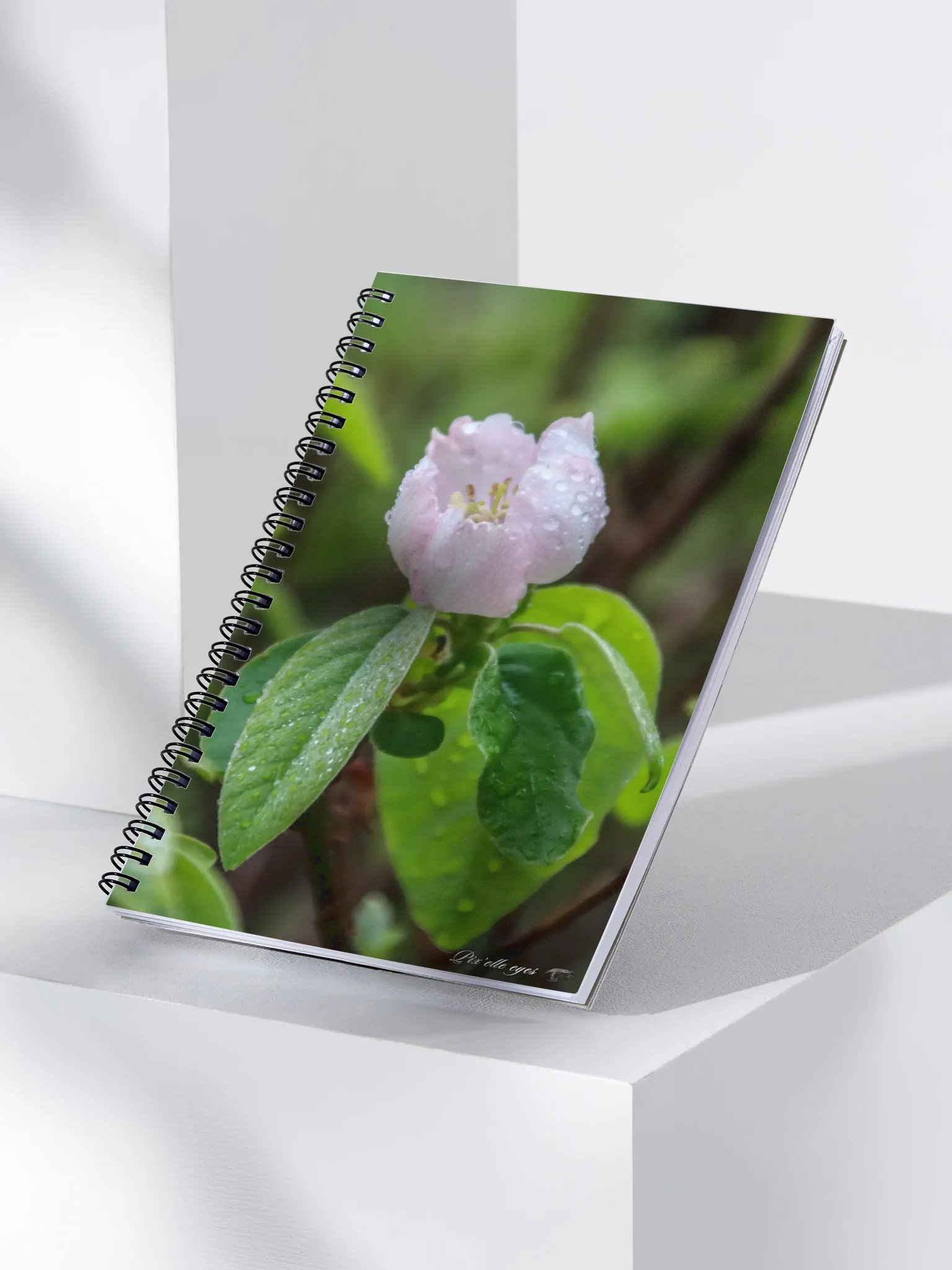 📘 Notebook Collection PURE – Jardin sous la pluie – Fleur de cognassier product image (3)