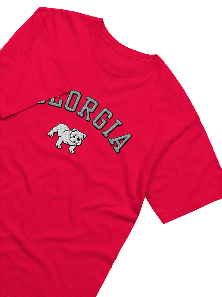 Embroidered Georgia T-Shirt product image (2)