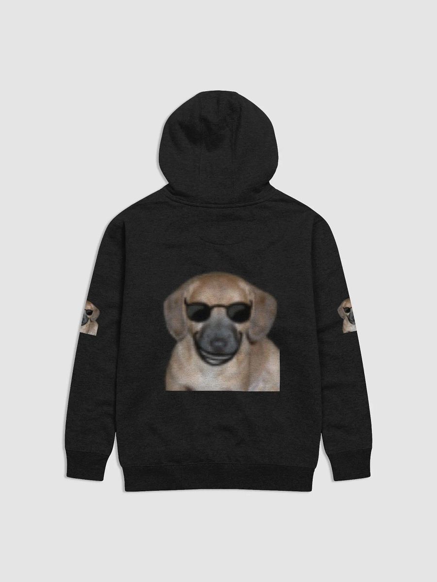 Rocky Swag Hoodie product image (5)
