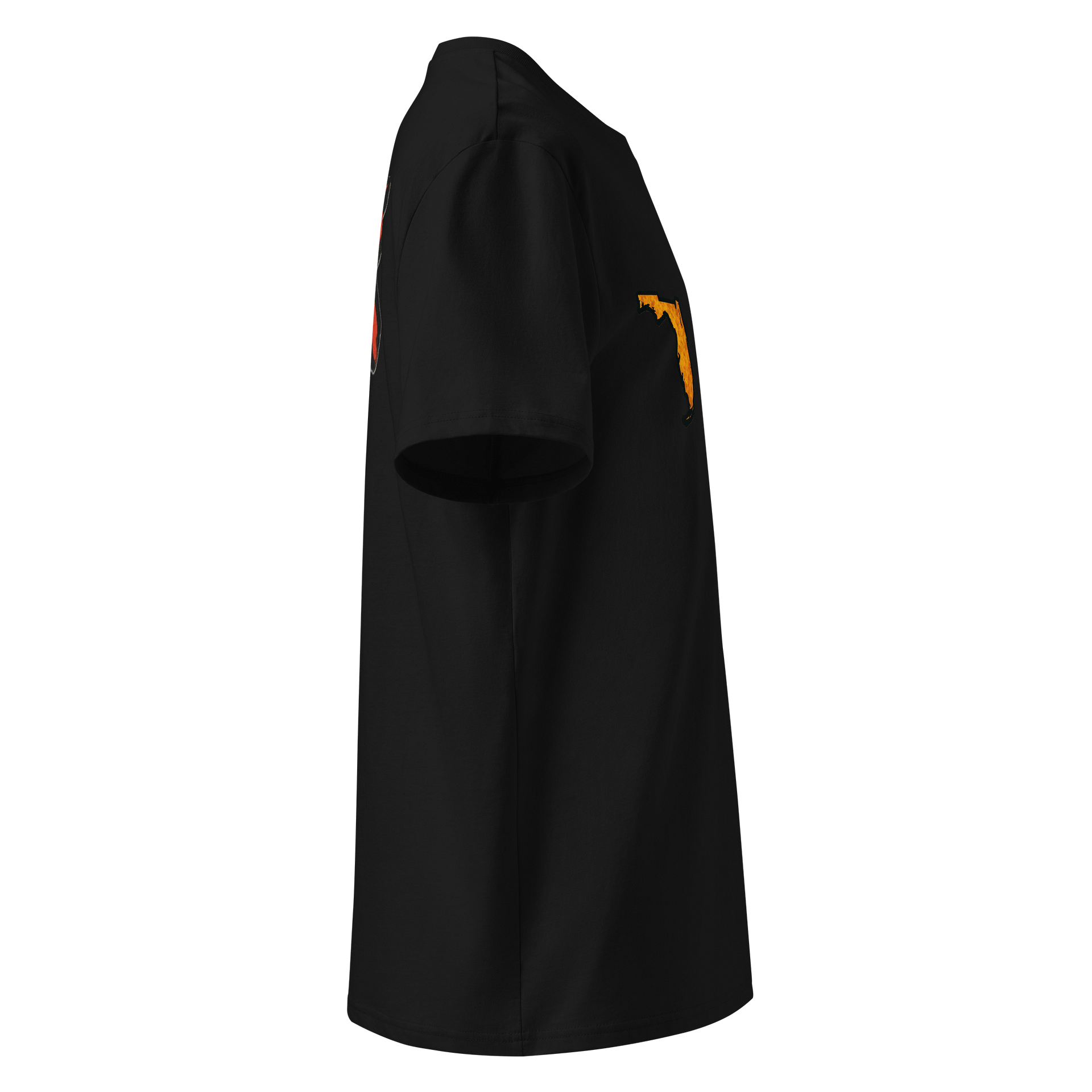 Sunshine State Obscene Organic Tee product image (4)