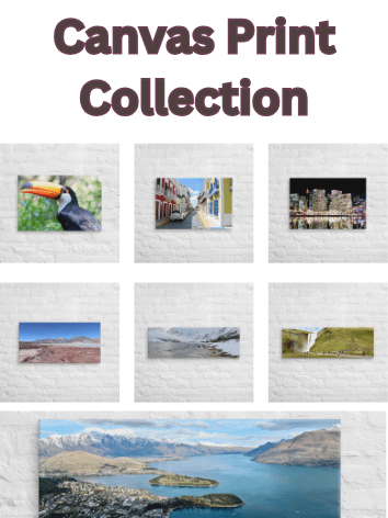 Buzzin Around the World's Photos - Canvas Prints