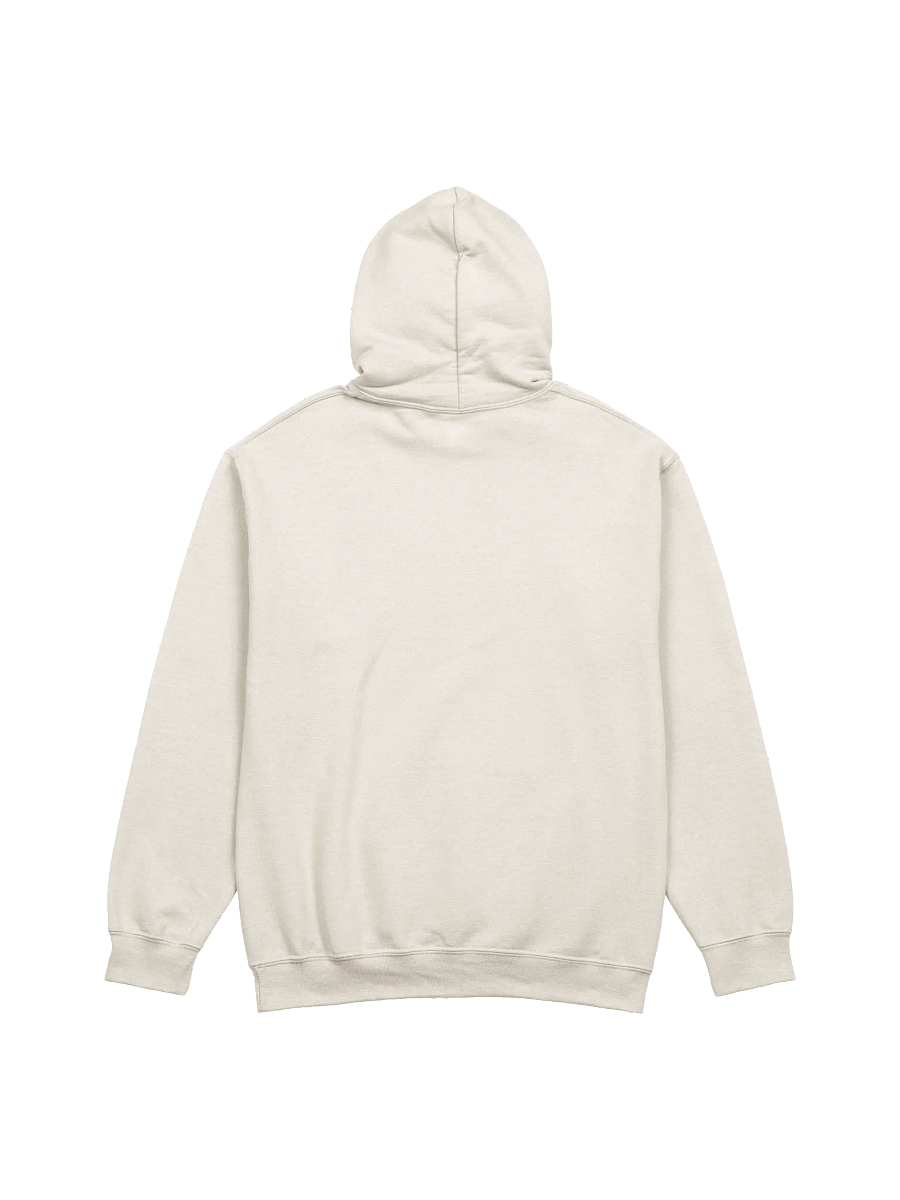 Flaming Skull Gentle Parenting Hoodie product image (3)