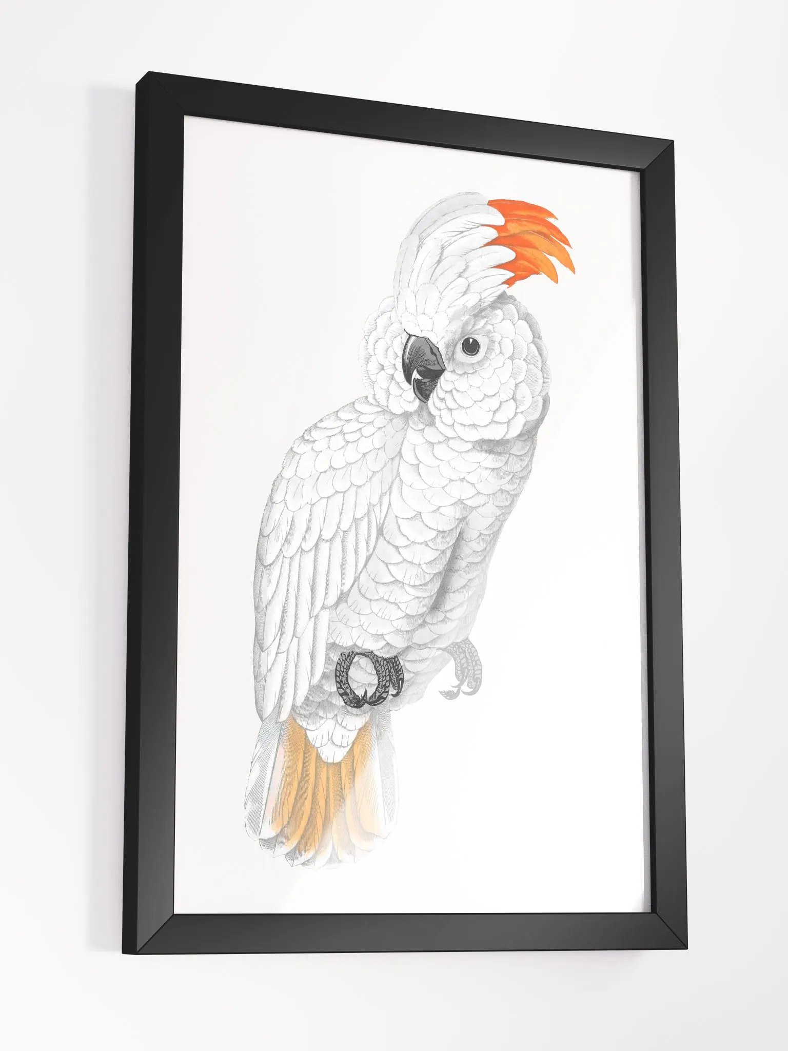 Ecotone Parrot Print Framed Art product image (3)