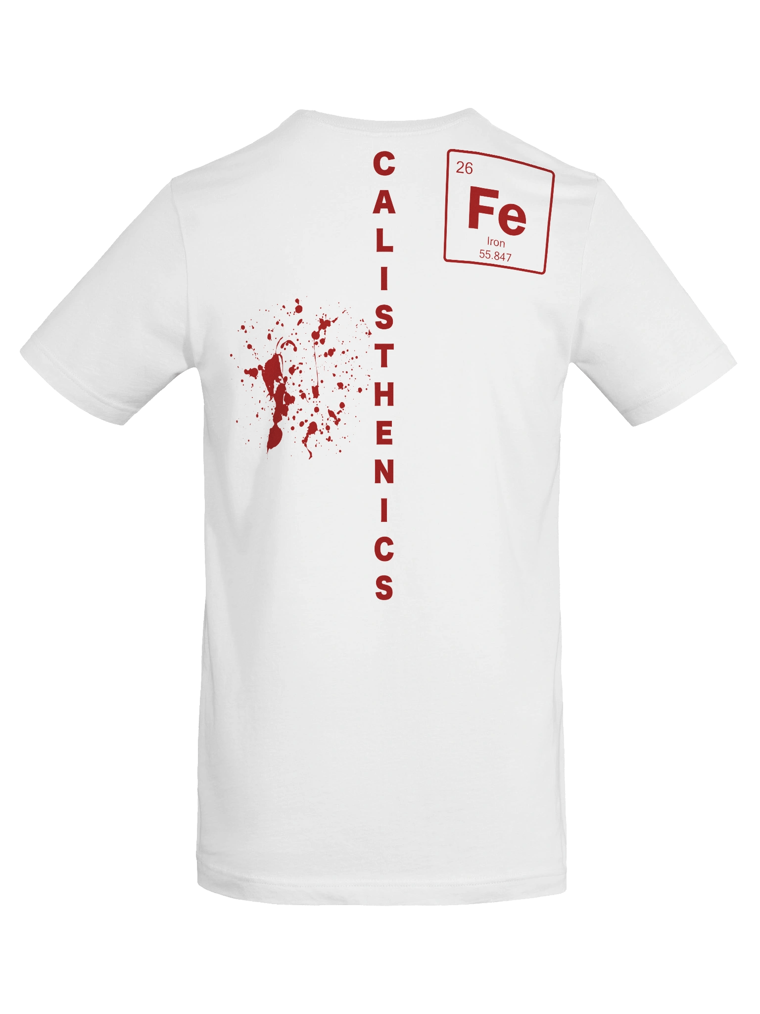 Calisthenics T-Shirt Blood & Iron product image (8)