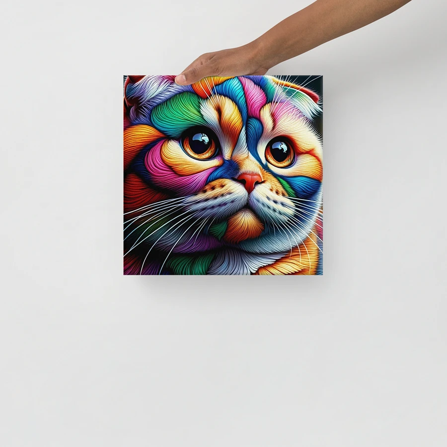 Canvas (in): Scottish Fold product image (13)