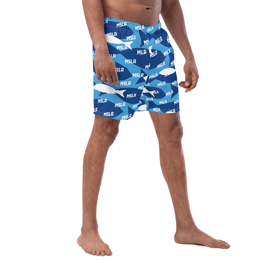 The Summer - Swim Trunks product image (6)