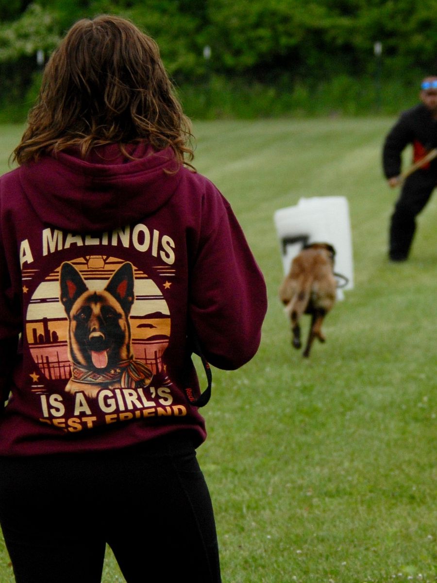 A Malinois is a Girl's Best Friend - Premium Adult Unisex Hoodie product image (3)
