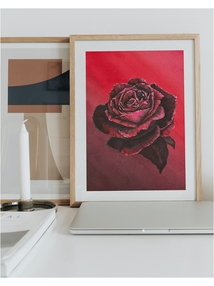 Red Rose Giclée Art Print product image (2)