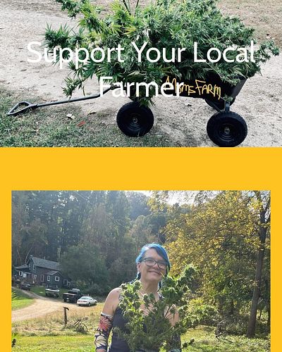 Mom’s Farm website launch today! CBD Herbal blend prerolls and cute merch! Use code INSTA10 for a 10% discount site wide!  Yo...