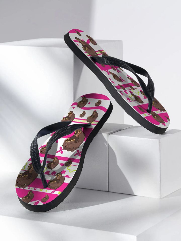 T-Rex Ah Flip-Flops product image (2)