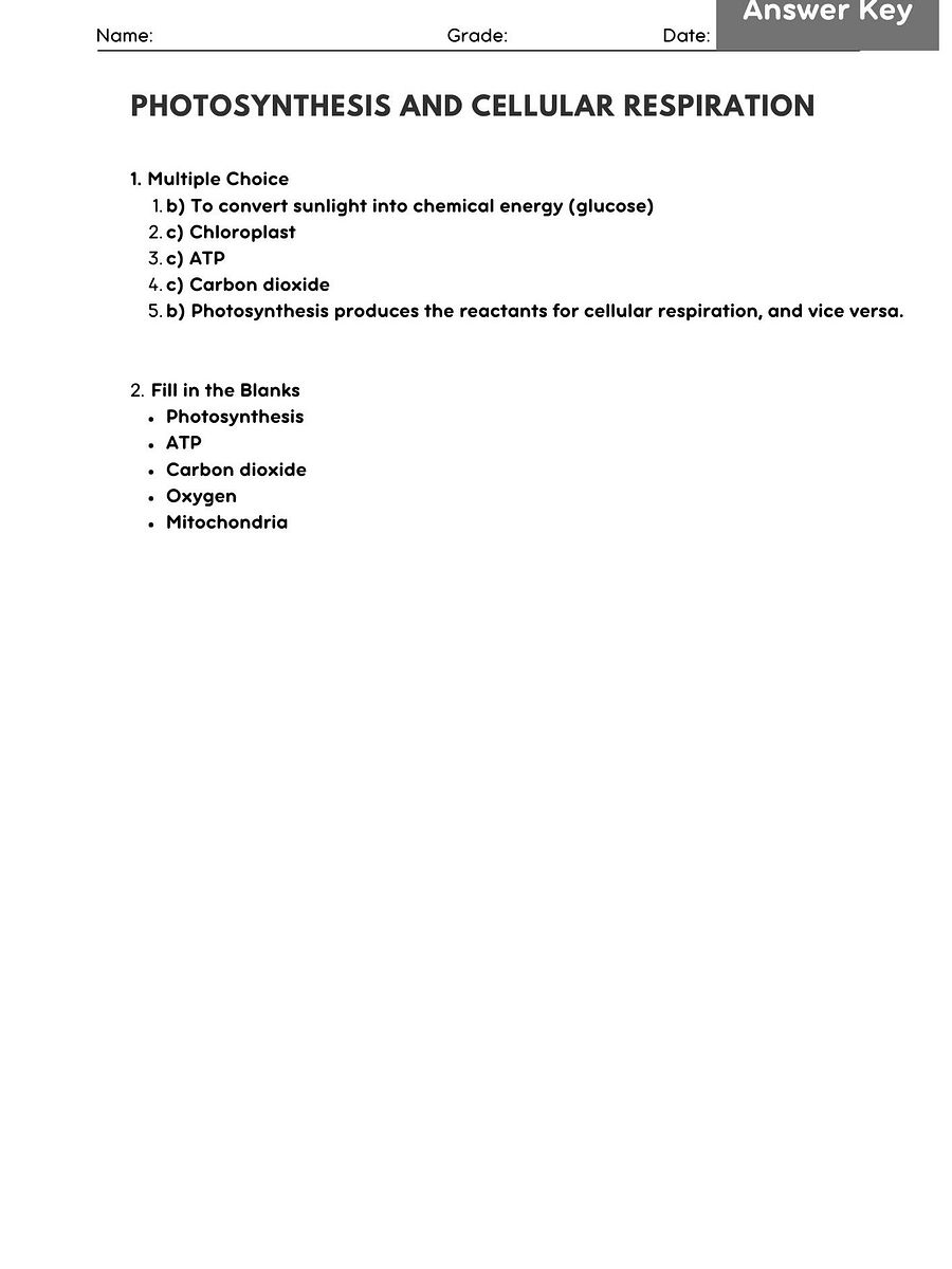 Photosynthesis and Cellular Respiration Worksheet - Biology Activity product image (2)