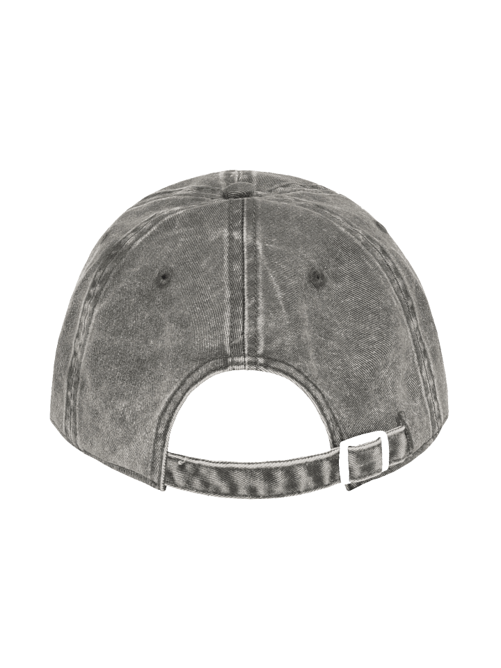 DTNS Rainbow-logo Hat product image (2)