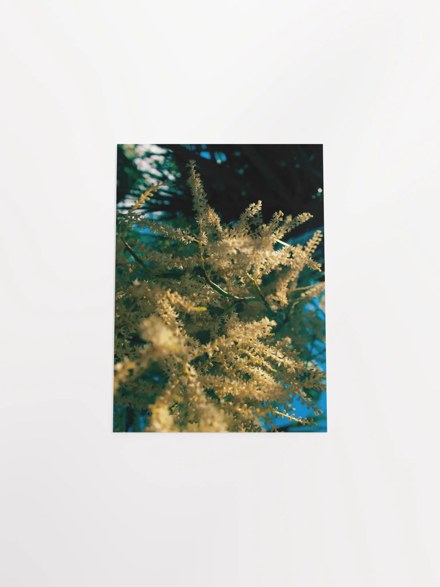 Tentacle of God product image (38)