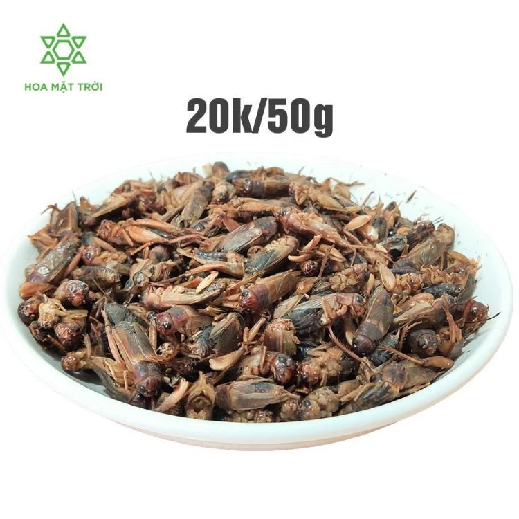 Dế Sấy Khô Làm Thức Ăn Cho Pet product image (3)