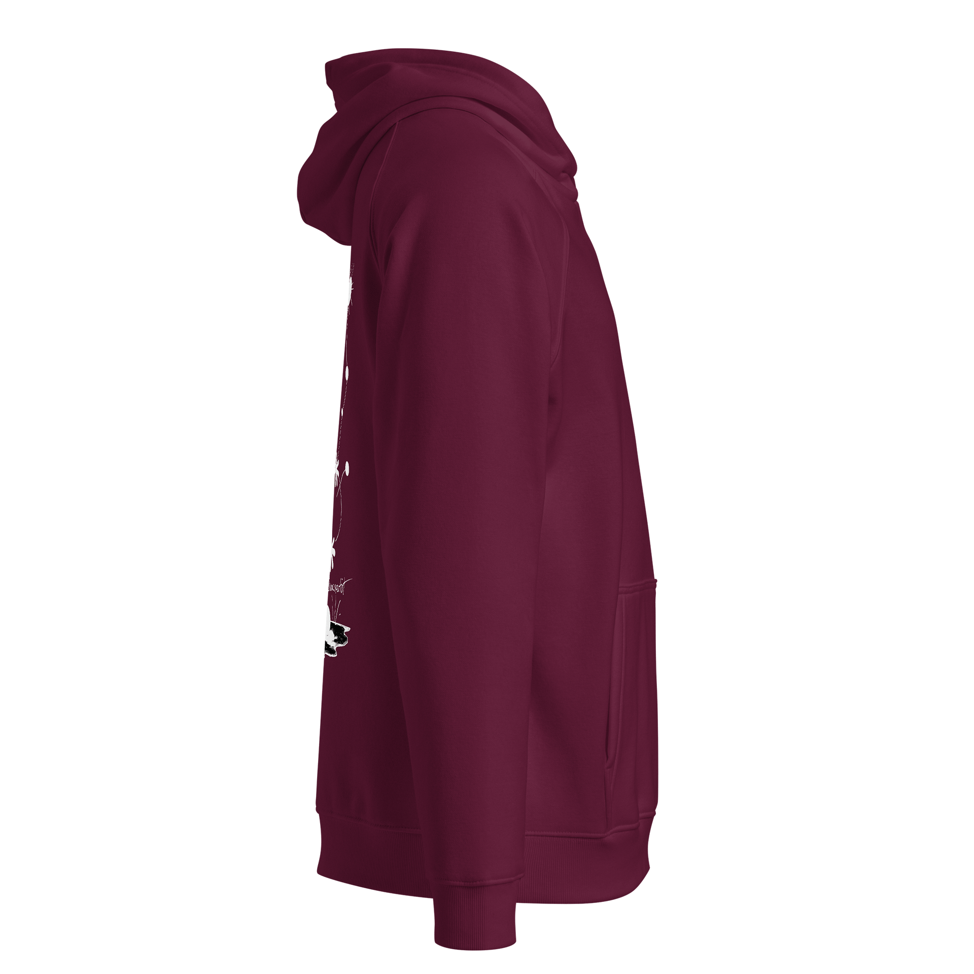 SOL'S Unisex Eco Raglan Hoodie product image (4)