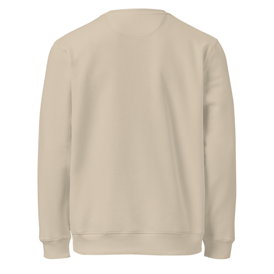 CS SweatShirt product image (4)