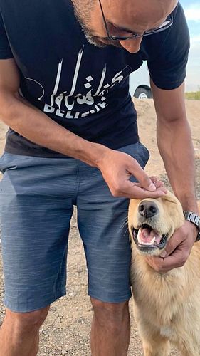 Helping abandoned dogs and cats of Sharm beautiful Golden Retriever finds a home.

To adopt a dog or cat from Sharm el Sheikh...