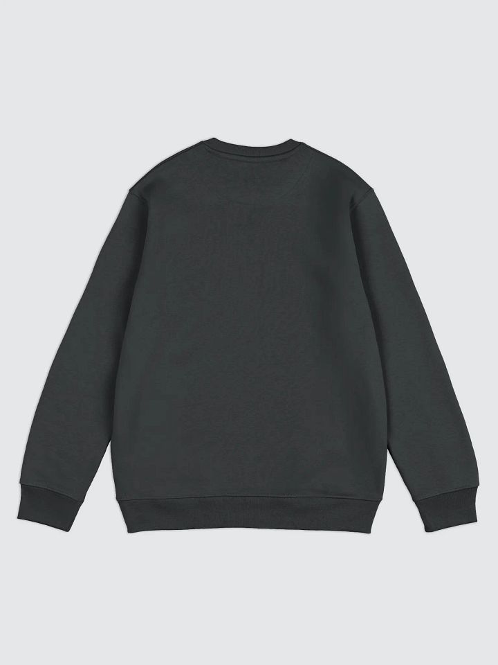 Mr Pagani Sweatshirt product image (2)