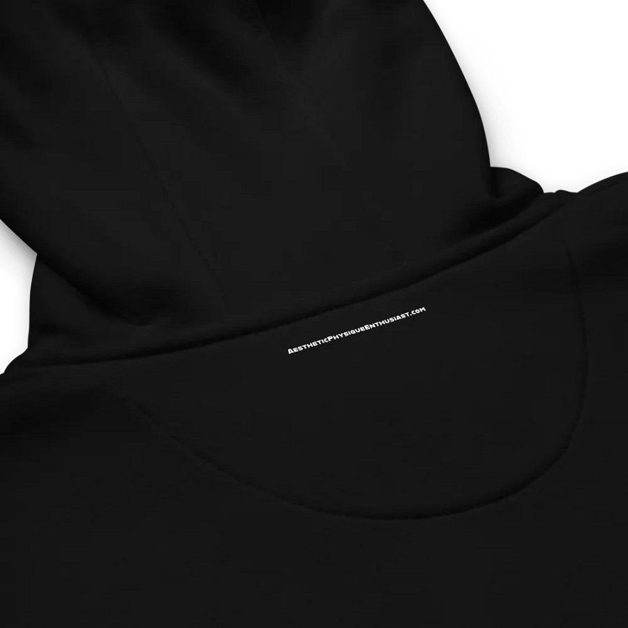 APEvolution: Premium Hoodie product image (10)