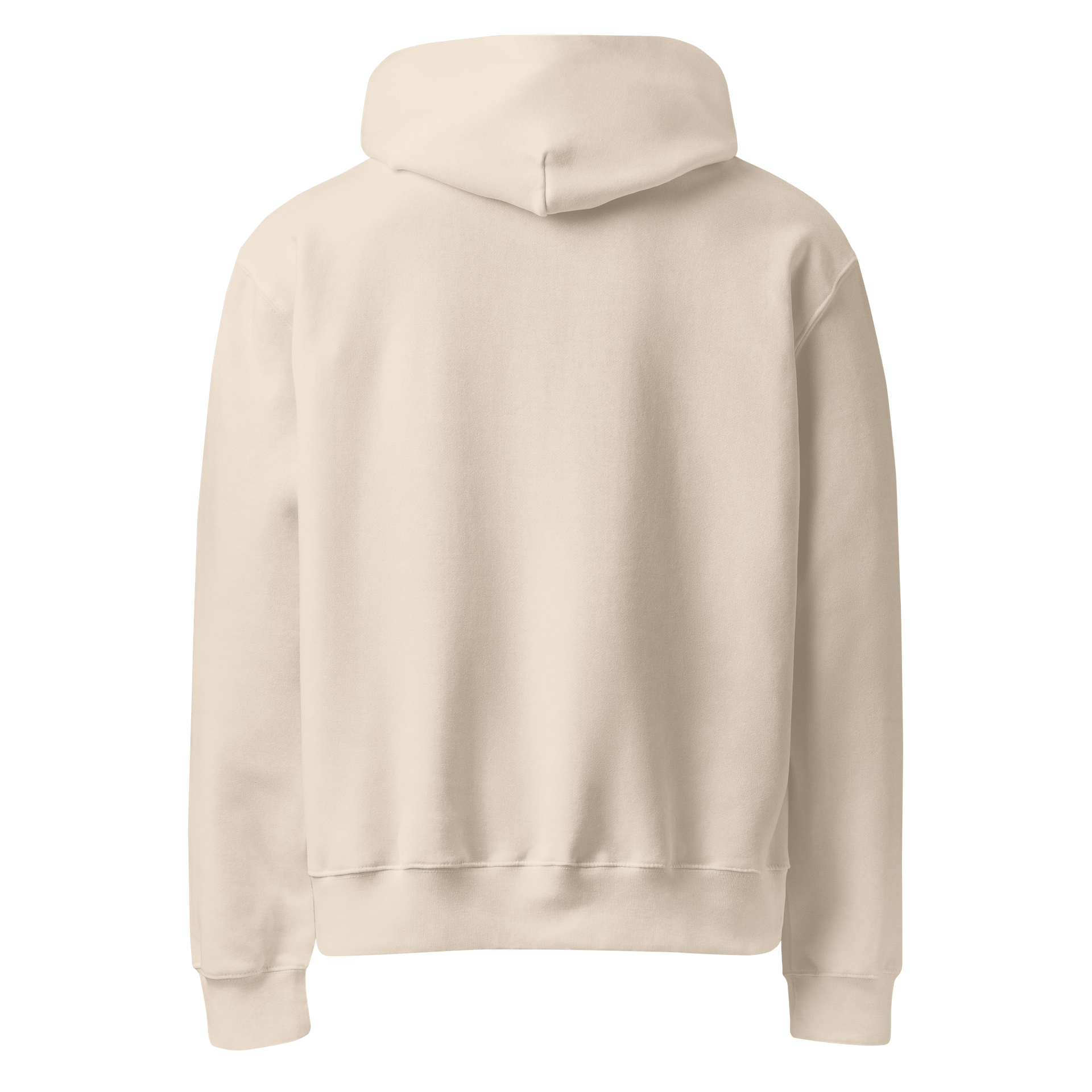 Flourish Hoodie product image (14)