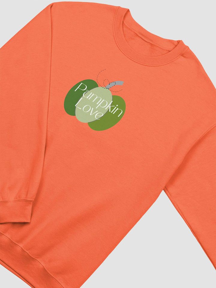 Pumpkin Love Graphic Crewneck product image (2)