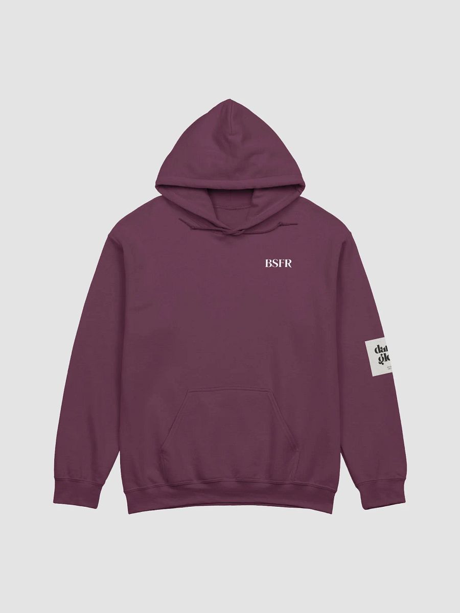 Don't Read The Latin BSFR Hoodie product image (1)