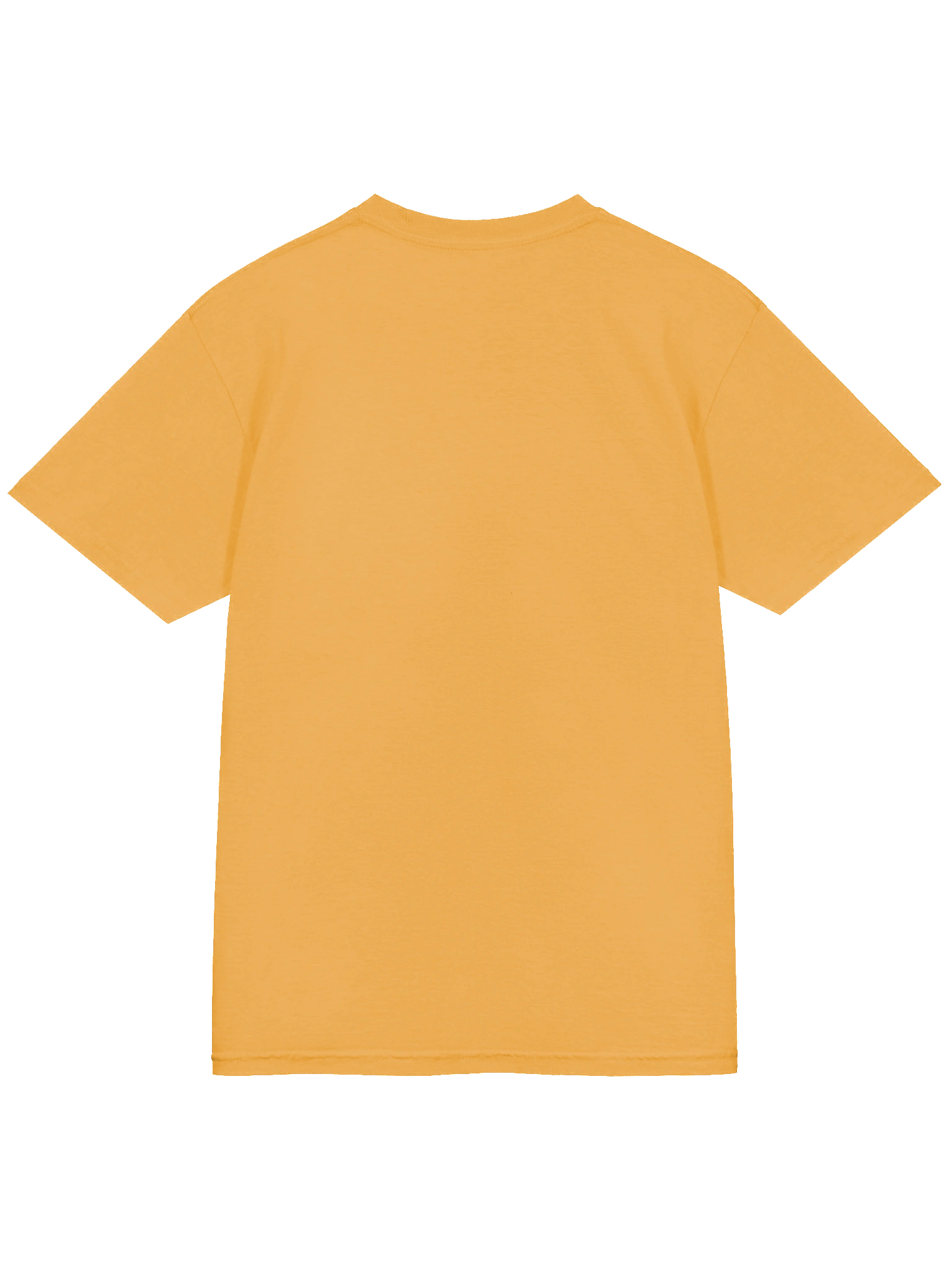 Road Dogg Original Tee product image (4)