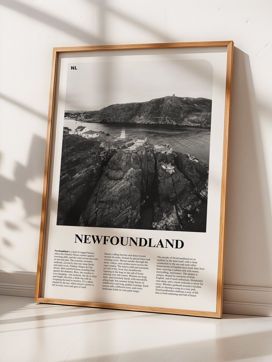 Newfoundland 01 Newspaper Poster product image (2)