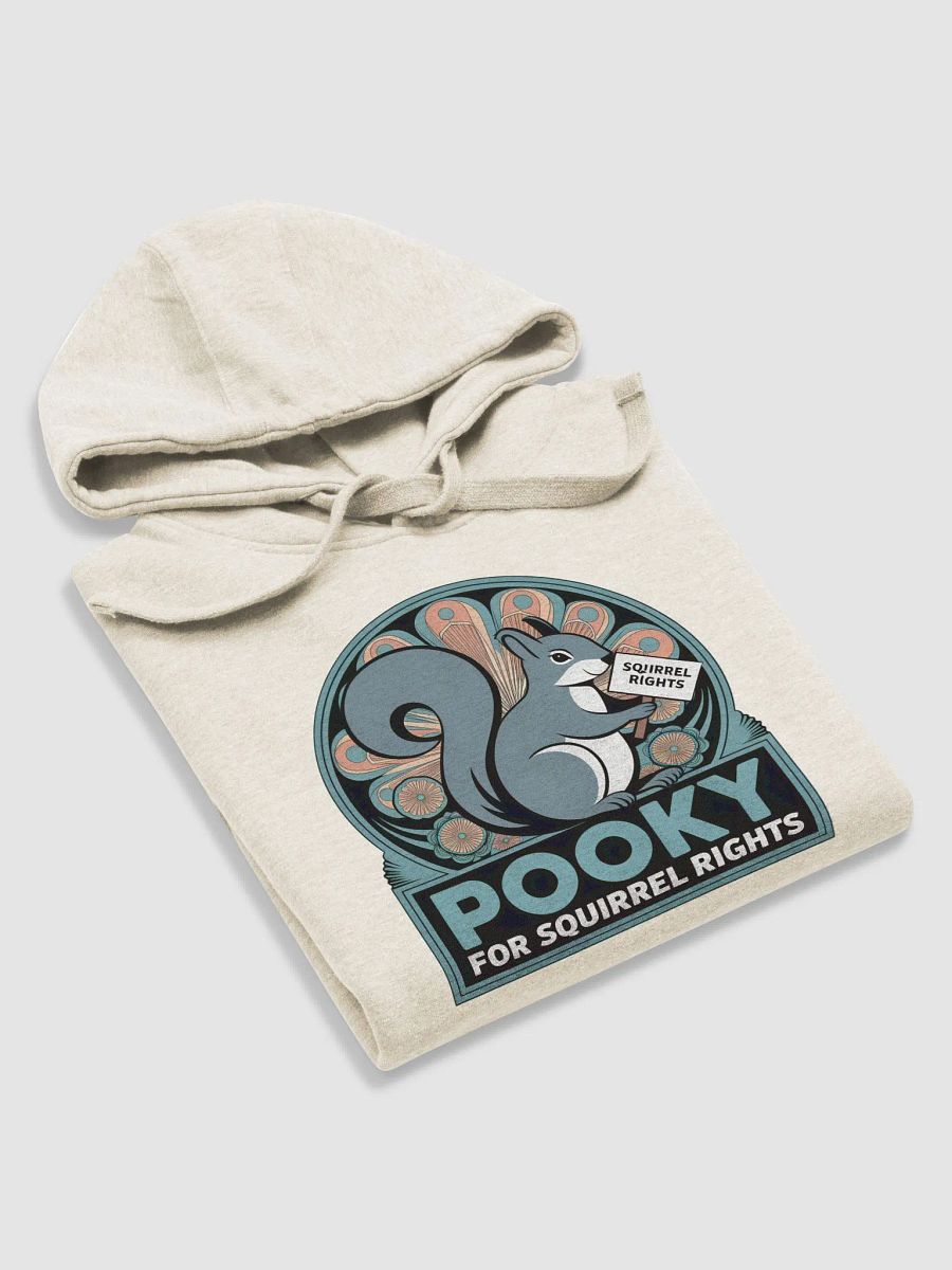 Super Soft Hoodie: Pooky for Squirrel Rights! Deco, teal font. product image (5)