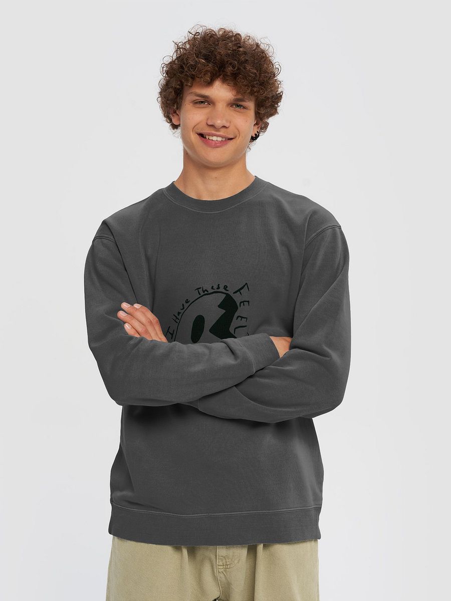I have feelings sweater product image (41)