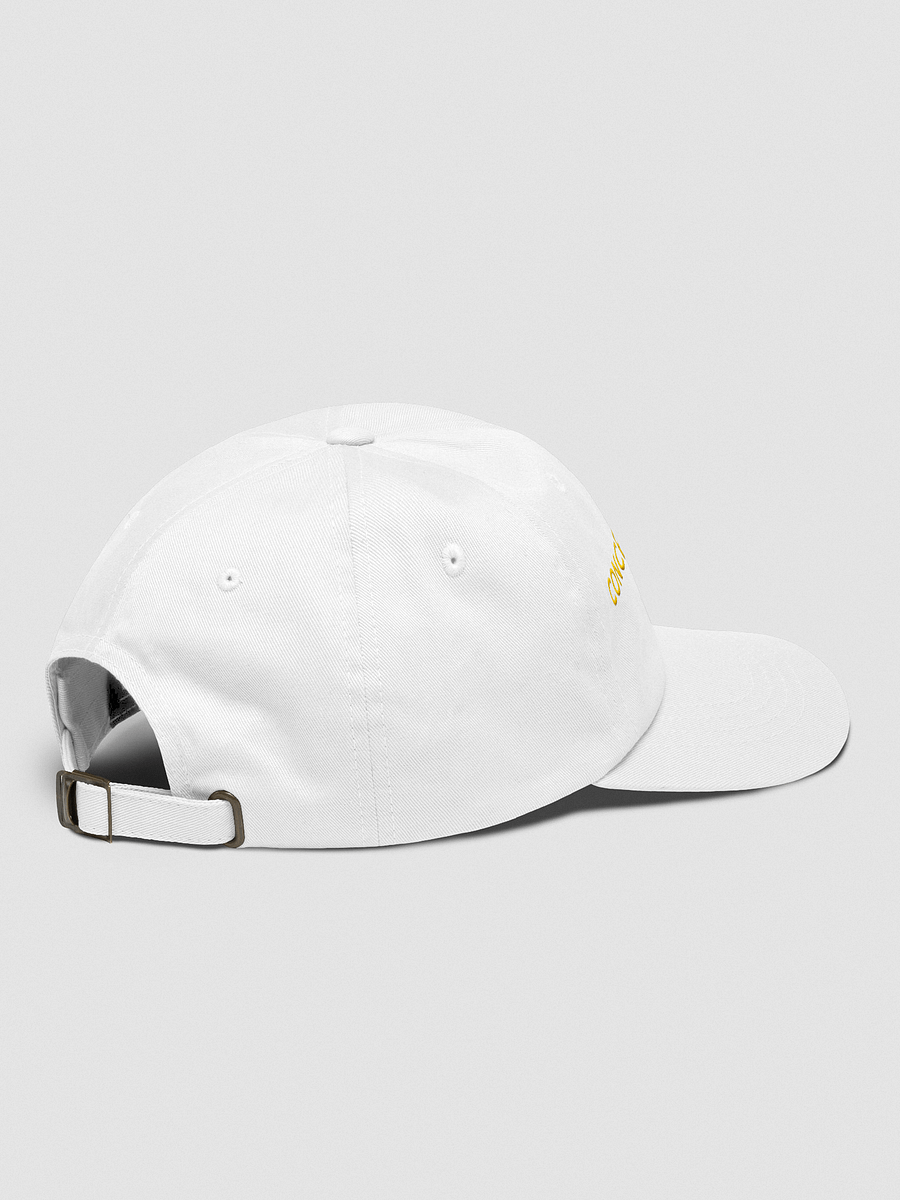 Concert Archives Dad Hat (White) product image (4)