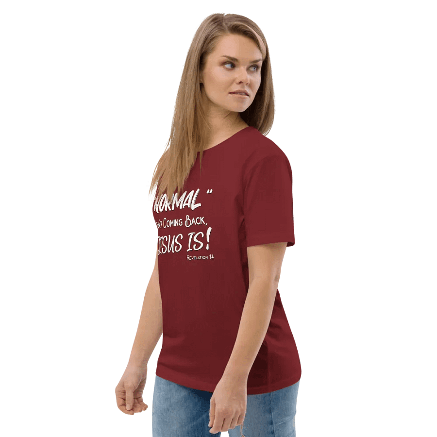 Revelation 14 | Unisex Shirt product image (7)
