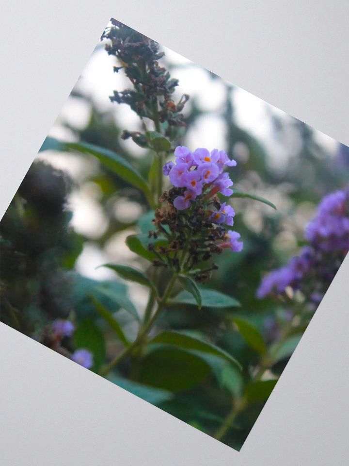 A Study in Flowers 5 - Sticker version product image (4)