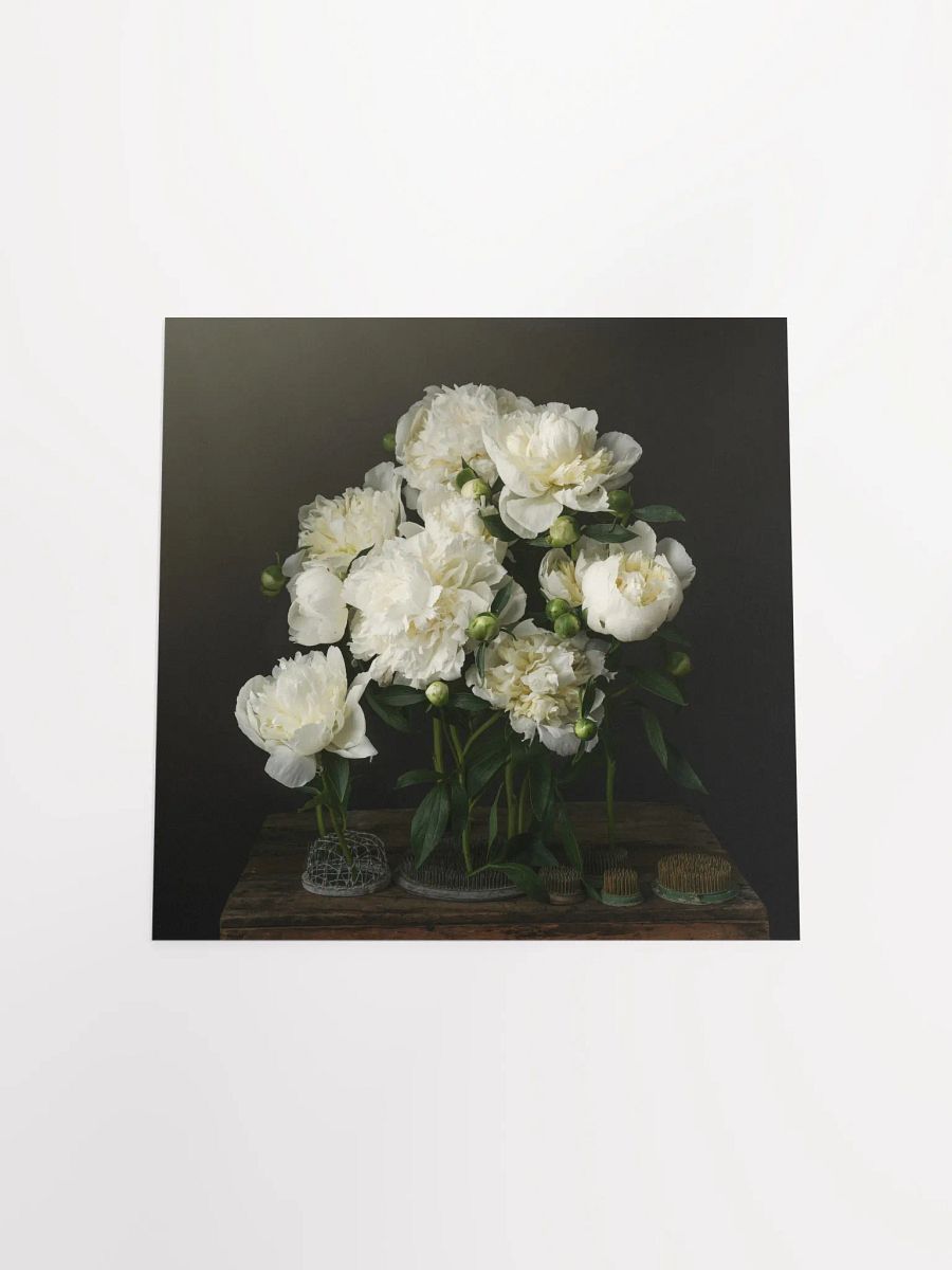 White Peonies product image (4)