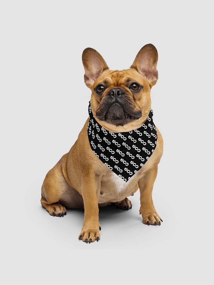 All-Over Print Bandana product image (1)