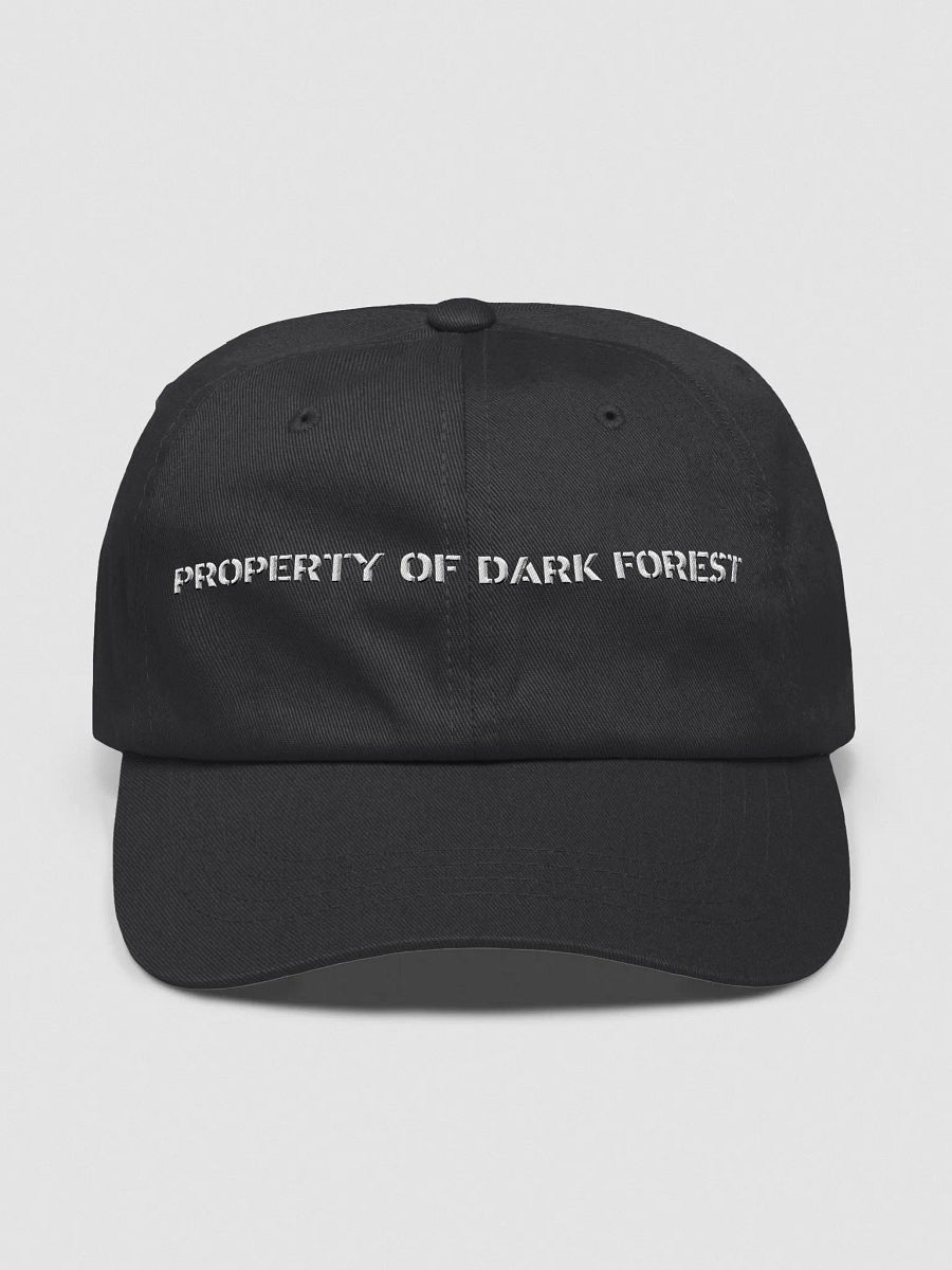 Dark Forest hat product image (1)