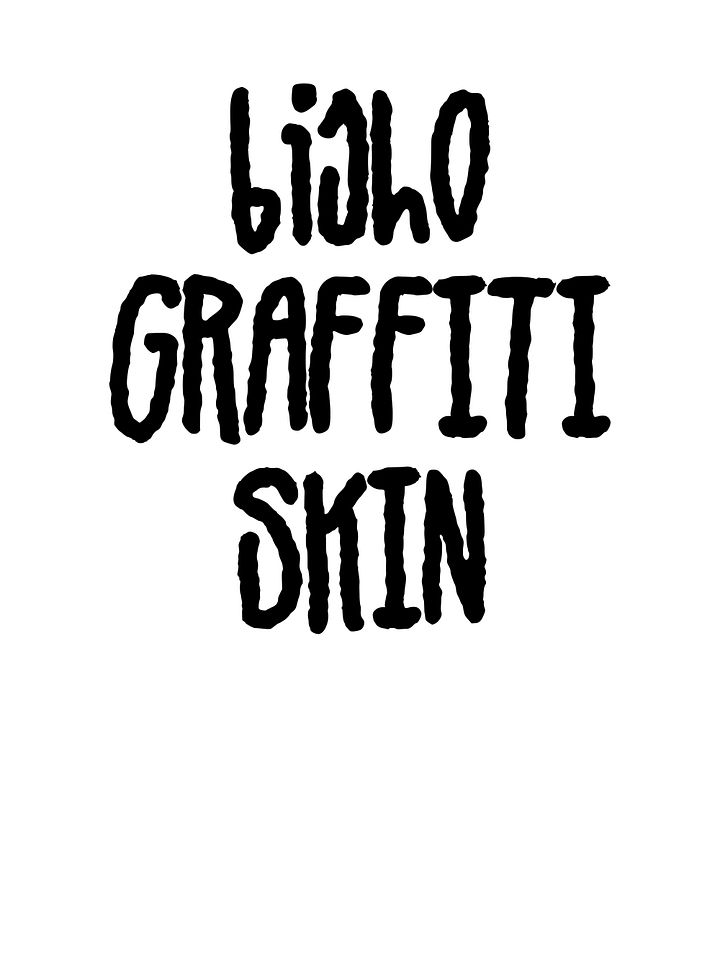 GRAFFITI FONTS SKIN product image (1)