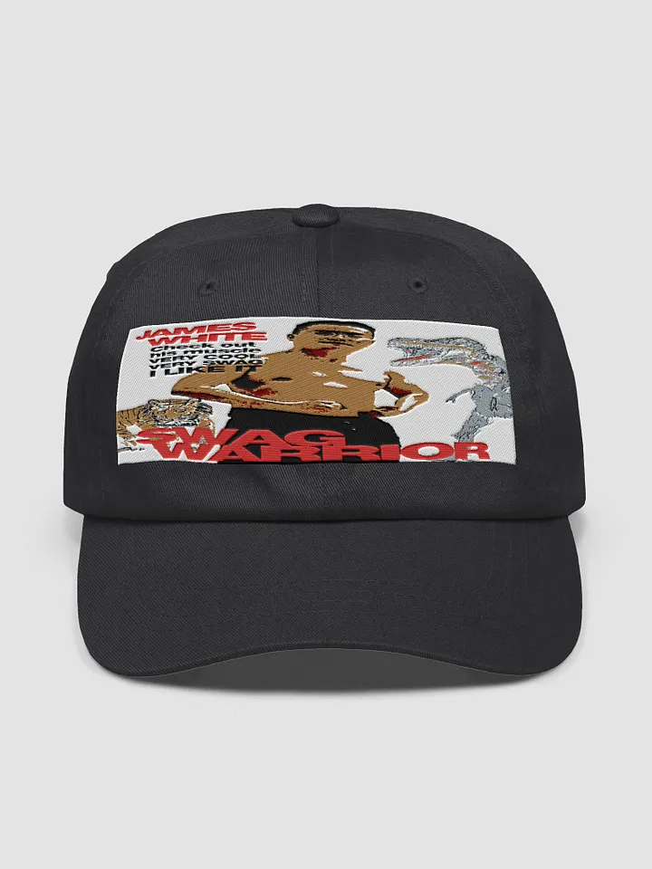 Yupoong Classic Dad Hat :swag warrior product image (3)