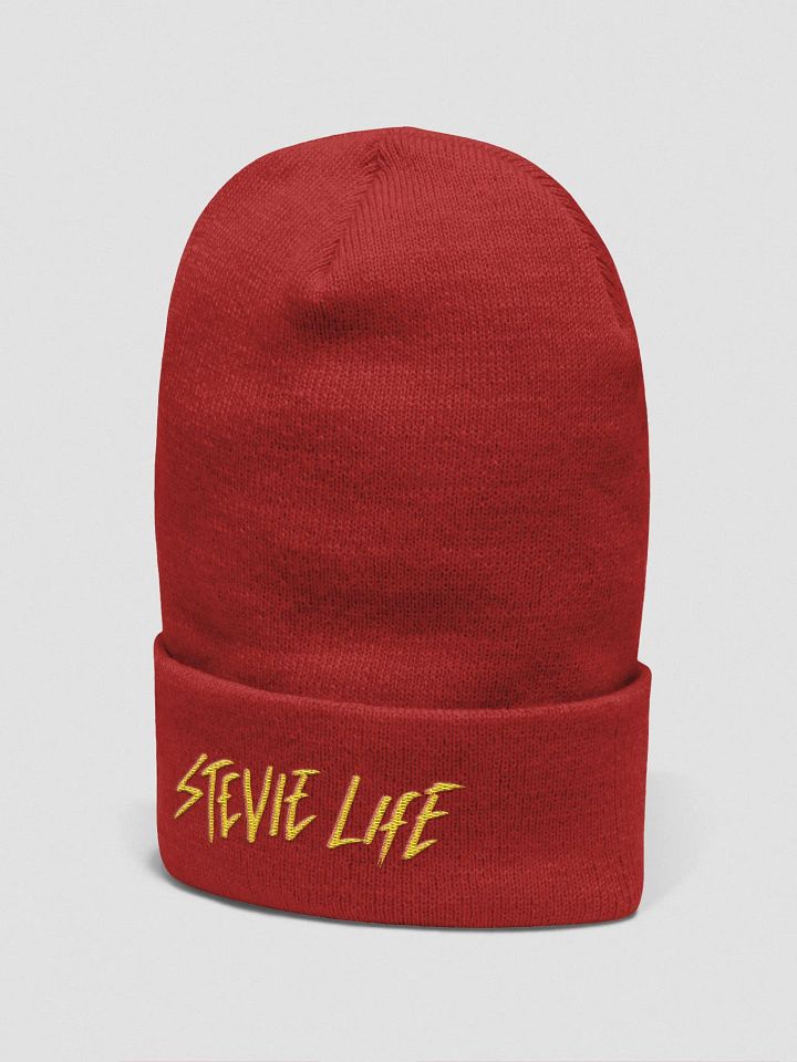 Stevielife Beanie product image (16)
