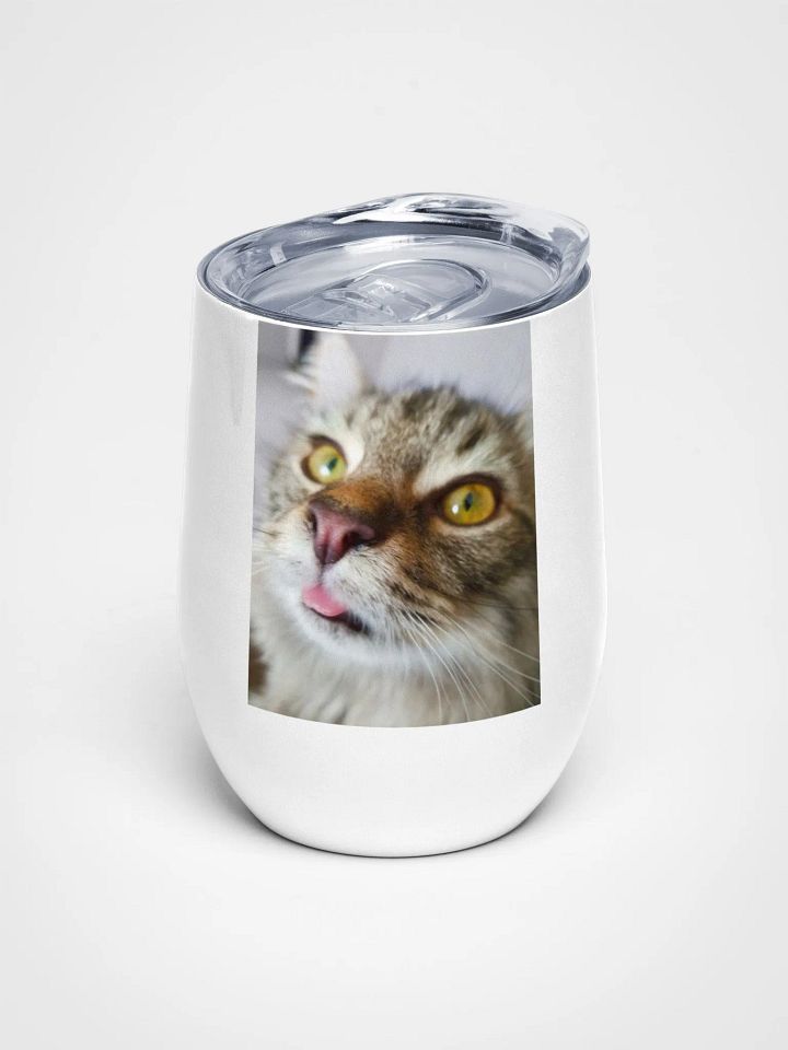 FidgGOON Wine Tumbler product image (1)