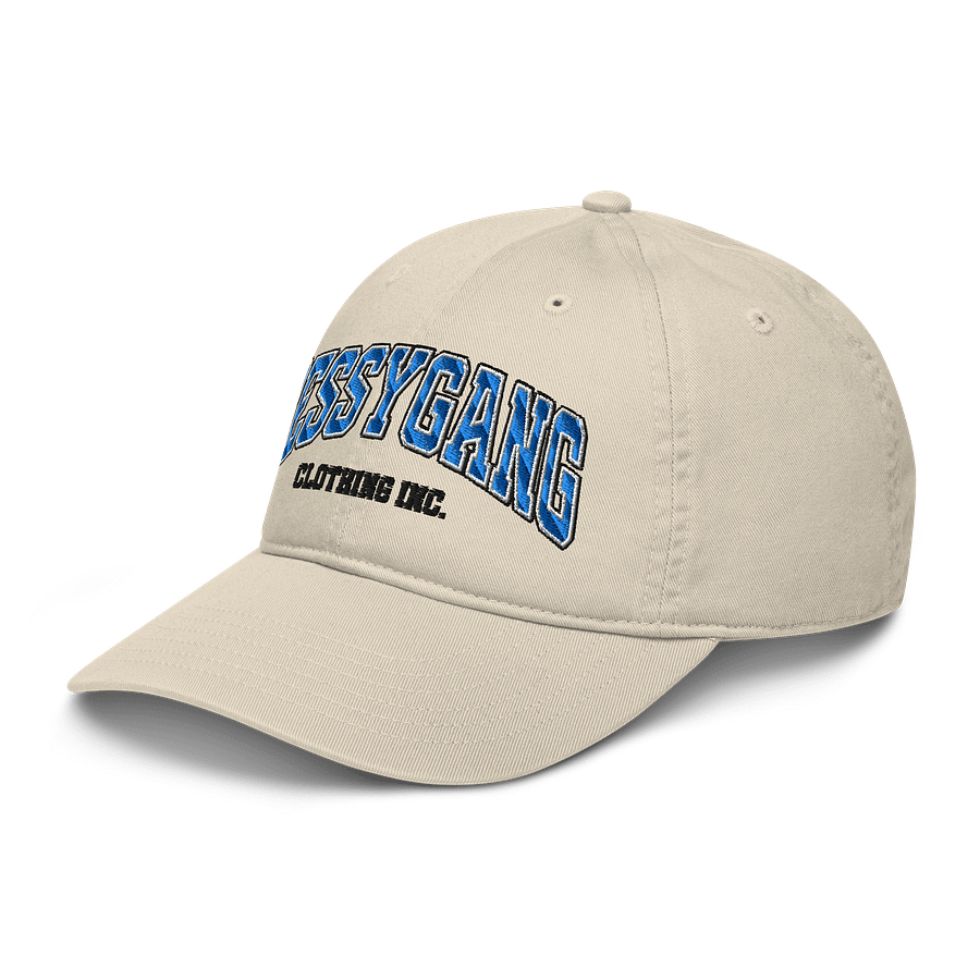 University Hat product image (6)
