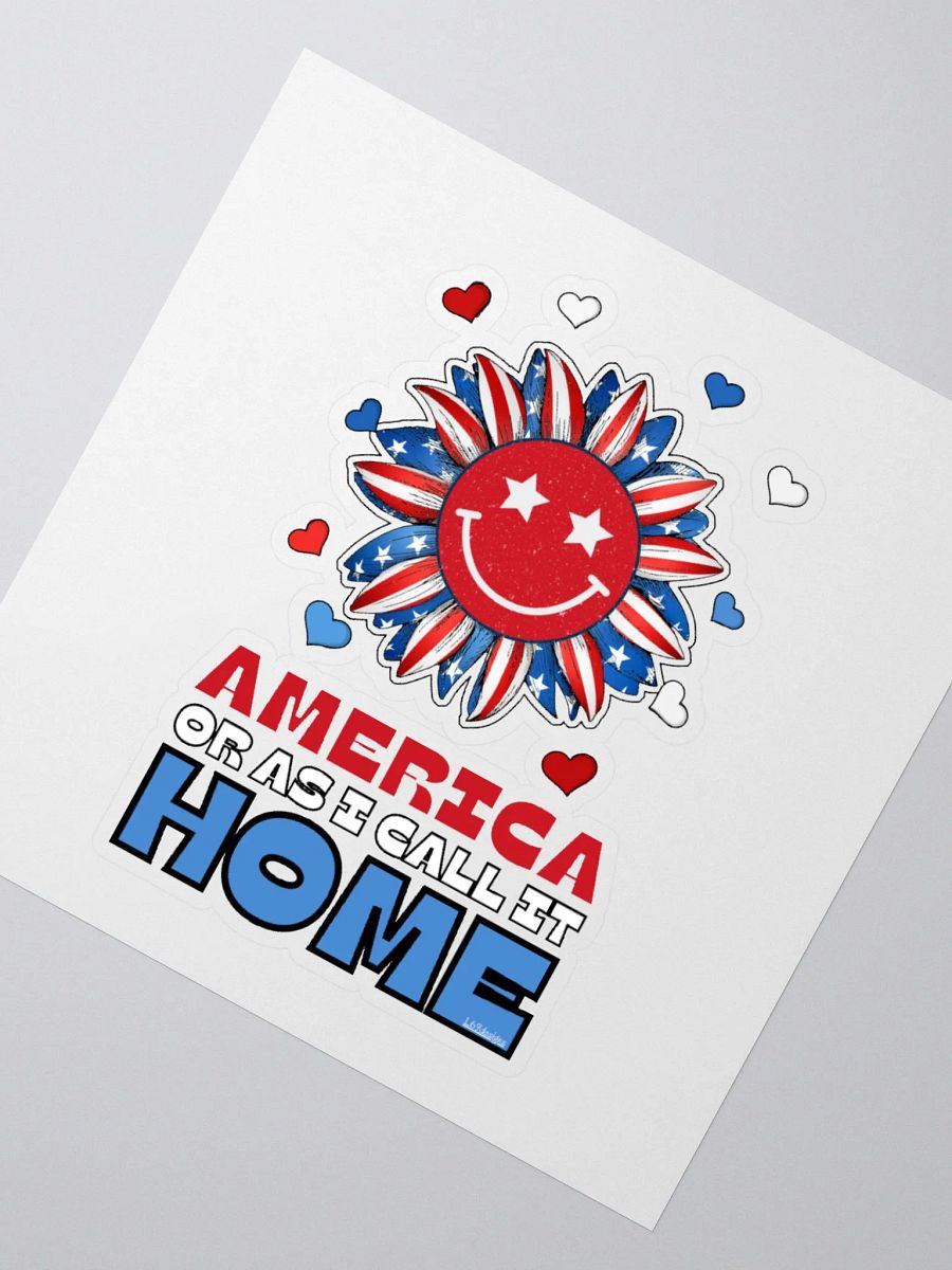 AMERICA OR AS I CALL IT HOME product image (4)