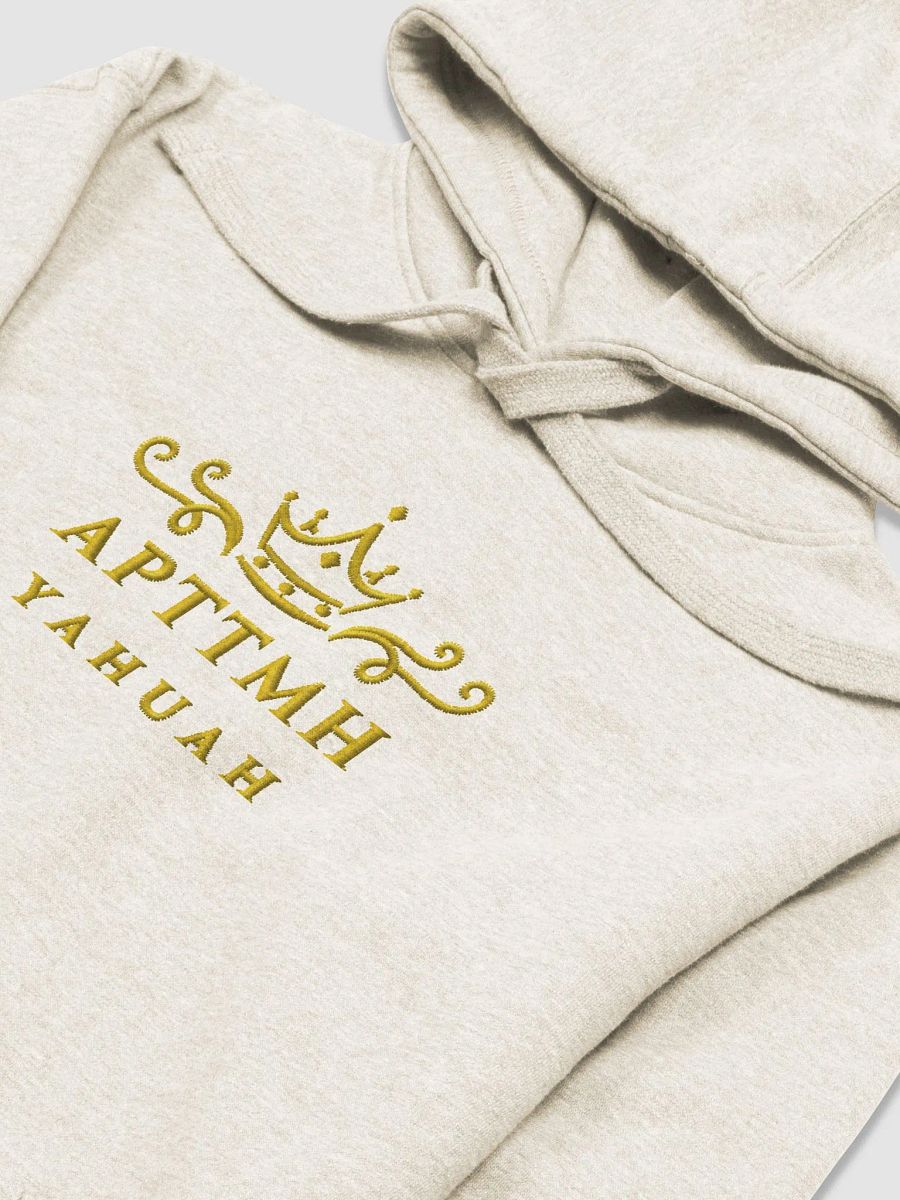 APTTMH Premium Hoodie product image (3)