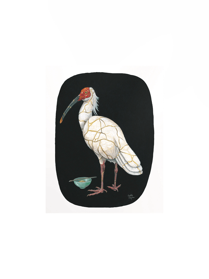 Restoration (Japanese Crested Ibis) - Art Print product image (2)
